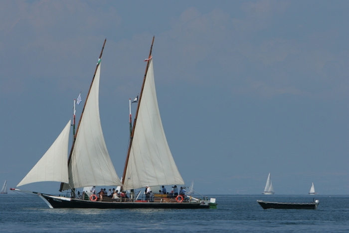 Regate Vieux Bateaux - 158 - 2008